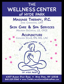 The Wellness Center of Hyde Park