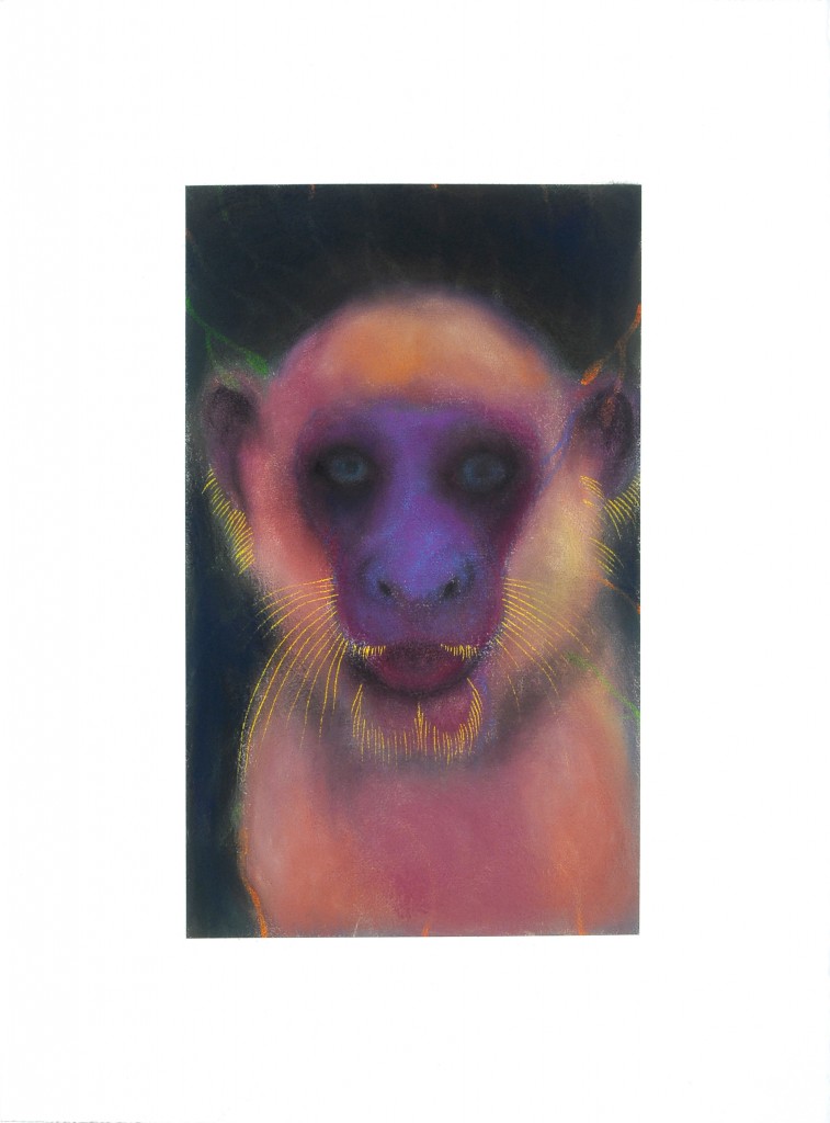 Jan Harrison, The Corridor Series Primate #31, 2009