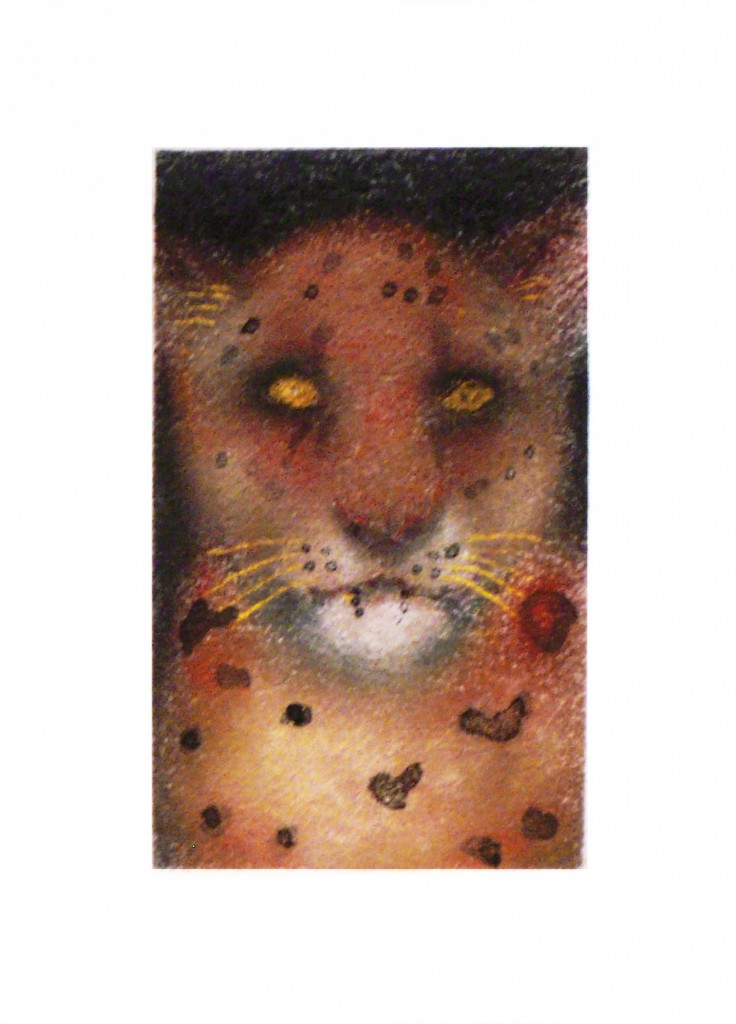 Jan Harrison, Tiny Snow Leopard #2