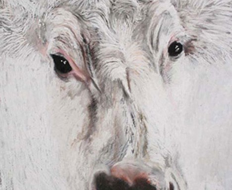 Gillian Jagger, "White Cow," 2009, pastel on paper