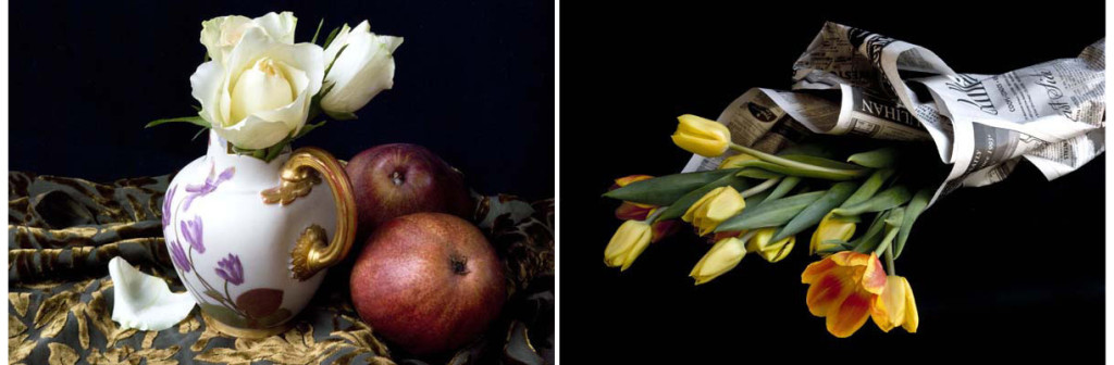 Gail Cohen : photography