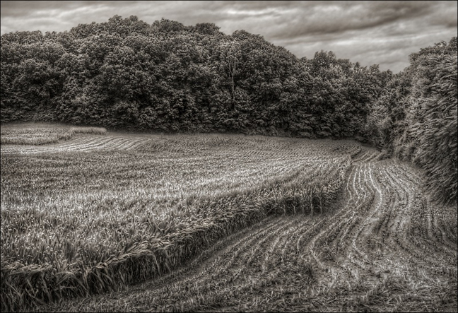 Jerry Freedner, Farm Fields 2 Jerry Freedner, Farm Fields 2