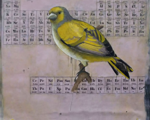 1. GMO Cardinal, 2012. 54x56 L-C_SM
