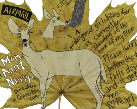 Deb Lucke - Barking Deer, 2013 -  archival inkjet print, 11 x 17 in. -  Courtesy the artist