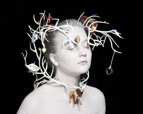 Cobb_elk_model