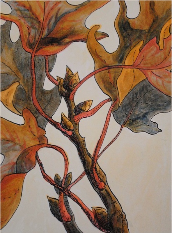  Linda Lynton, “Autumn Oak” 2016. Ink and natural dyes including onion, dragon’s blood and indigo, on paper. 8 x 6 inches.  