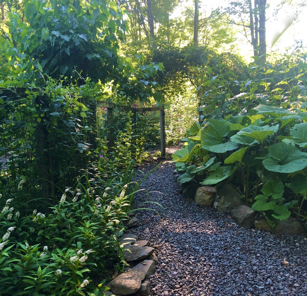 House property garden.sm.crop